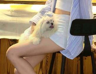 51吃瓜导航带你去黑料黑料社，奇葩事儿就等你来碰！
