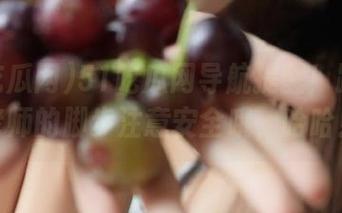 51吃瓜网导航提醒！跟随马老师的脚步注意安全哦，哈哈！