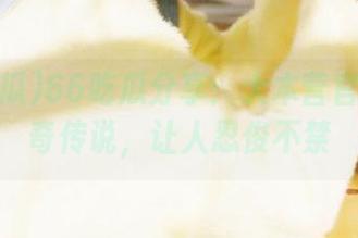 66吃瓜分享：大本营官网的神奇传说，让人忍俊不禁