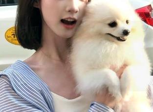 拿起91今日吃瓜苹果版，找到属于你的github小道消息，等着让人“囧”的彩蛋！