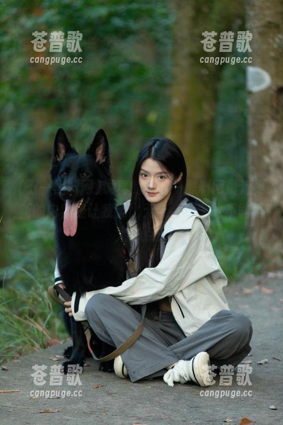 说真的，五一黑料网最近更新的内容是让我无比无奈，粽子能不能再火一点？