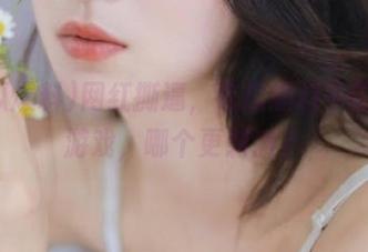 网红撕逼，吃瓜爆料中的资源游戏，哪个更刺激？