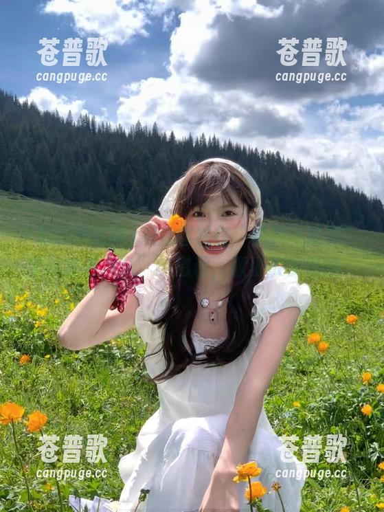 观众显然在“黑料不打洋”里寻找“永久”的慰藉，顺便散步思维。