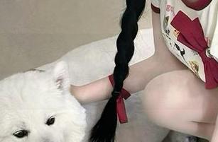 大家快来！黑料不打烊发布新iOS下载，瓜季开狂欢了！