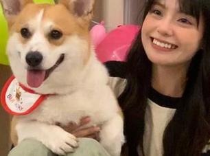 在线剖析：黑料冲哥一晚上都在追着抖音网红们