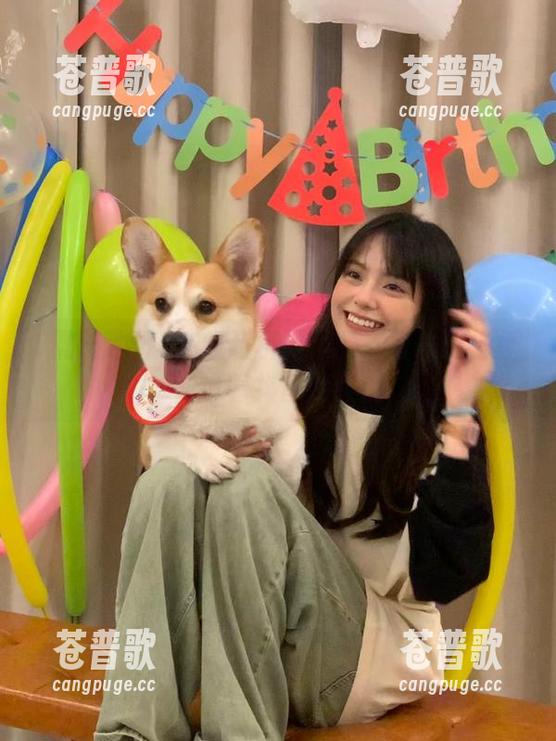 在线剖析：黑料冲哥一晚上都在追着抖音网红们