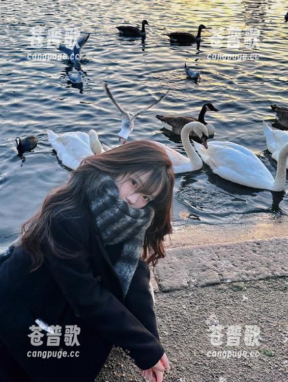 有了黑料正能量官方，收藏好每一条爆料吧！