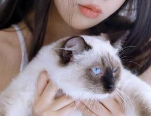 直达黑料正能量的改版，虽然一上来就被吸引住，但里面的东西又是大片熟悉的旧信息。